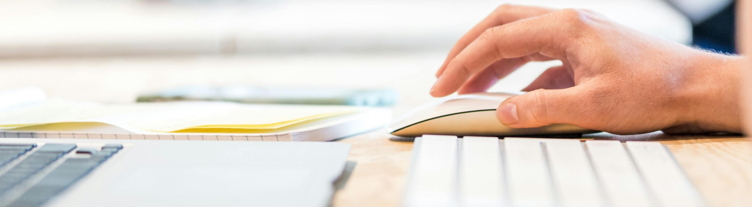 banner-image